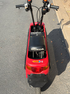1981 Honda Motocompo