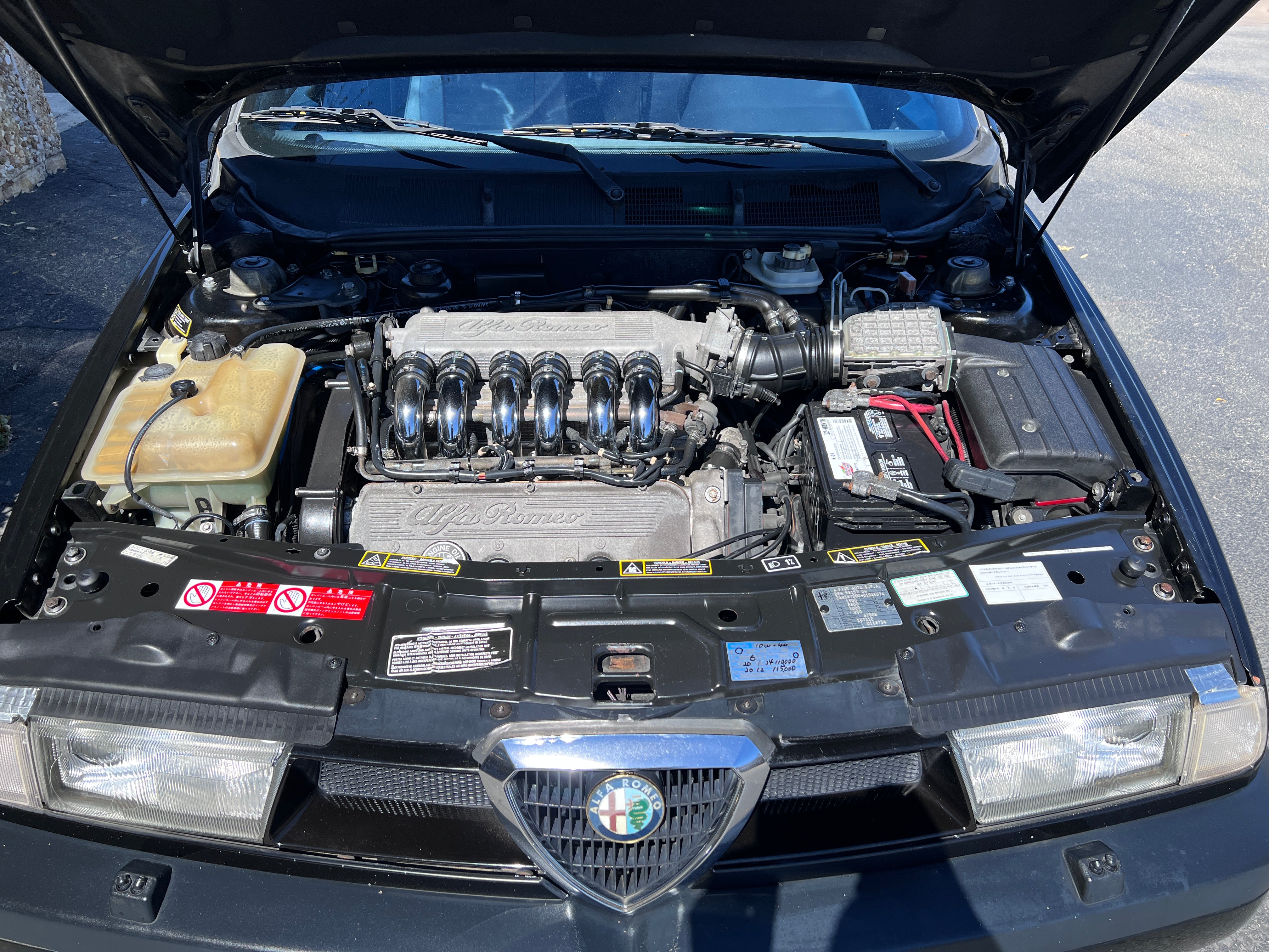 Alfa Romeo 155